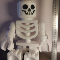Picture of print of Classic Skeleton Minifig This print has been uploaded by Michal Chowaniak