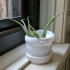 windowsill planter image