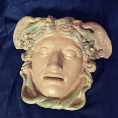 Picture of print of Medusa Rondanini Sculpture This print has been uploaded by Kyle