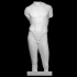 Torso of a youth image