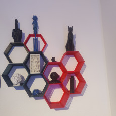 Picture of print of Hexagon fractal shelf