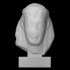 Head of a kouros image