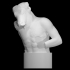 Bust of a Minotaur image
