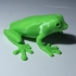 Grenouille image