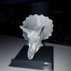 Picture of print of Triceratops horridus