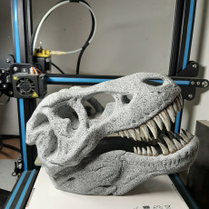 Picture of print of T-Rex skull improved as reptile hide