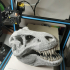 T-Rex skull improved as reptile hide print image