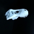 T-Rex skull improved as reptile hide image
