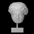 Colossal head of a goddess image