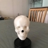 Skull Stand , with helmet image