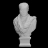 Bust of Aelius Nikopolianus image