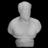 Portrait bust of a bearded man image