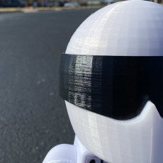 Picture of print of The STIG