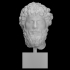 Portrait bust of a Roman matron image