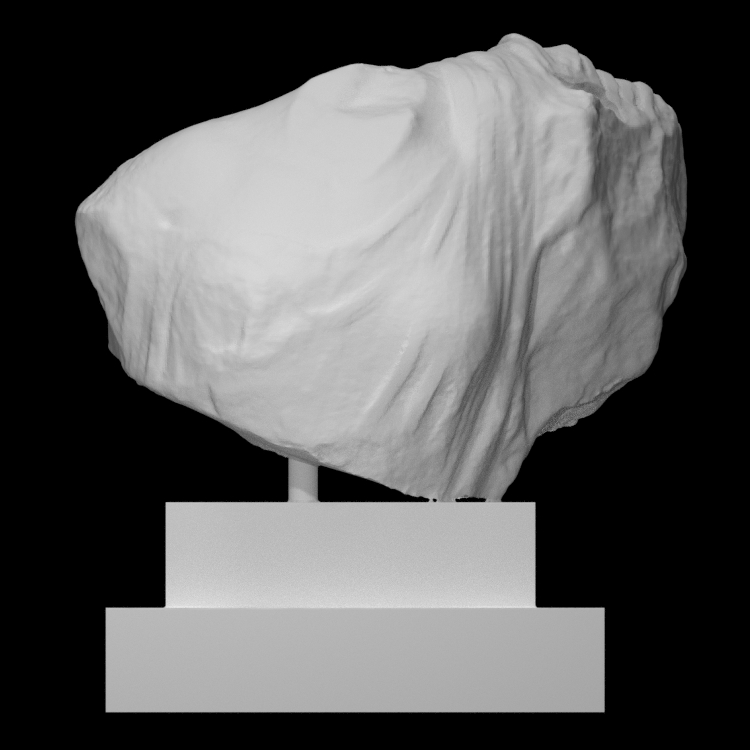Fragment of a statue of Aphrodite