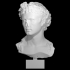 Portrait of Augustus image