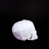 Skull-Flowerpot image