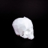 Skull-Flowerpot image