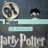 Harry Potter's Platform 9 3/4 Charm!⚡ image