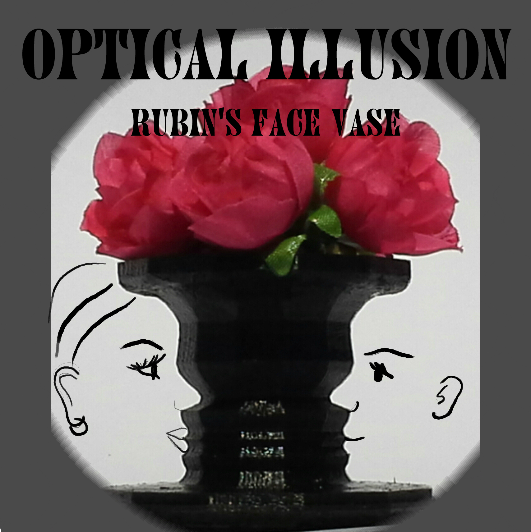 Optical Illusion Vase. Rubin's Vase. Negative space image.