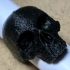 Skull Ring 2017 print image