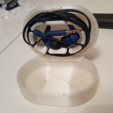 Picture of print of Hinged Case for Earphones