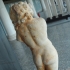 Statue of Eros image