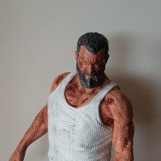 Picture of print of Old man logan