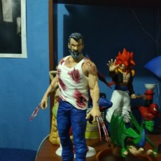 Picture of print of Old man logan This print has been uploaded by julian humberto tangarife