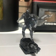Picture of print of Batman  on a roof