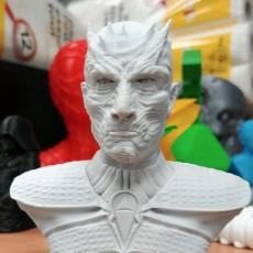 Picture of print of The Night King Bust v2 - Game of Thrones This print has been uploaded by Iain Mason