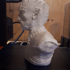 Picture of print of The Night King Bust v2 - Game of Thrones