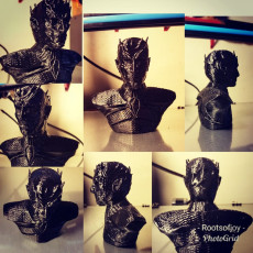 Picture of print of The Night King Bust v2 - Game of Thrones This print has been uploaded by CANelson