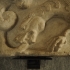 Fragment of dragon and snake image