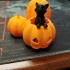 Cat in the pumpkin patch print image