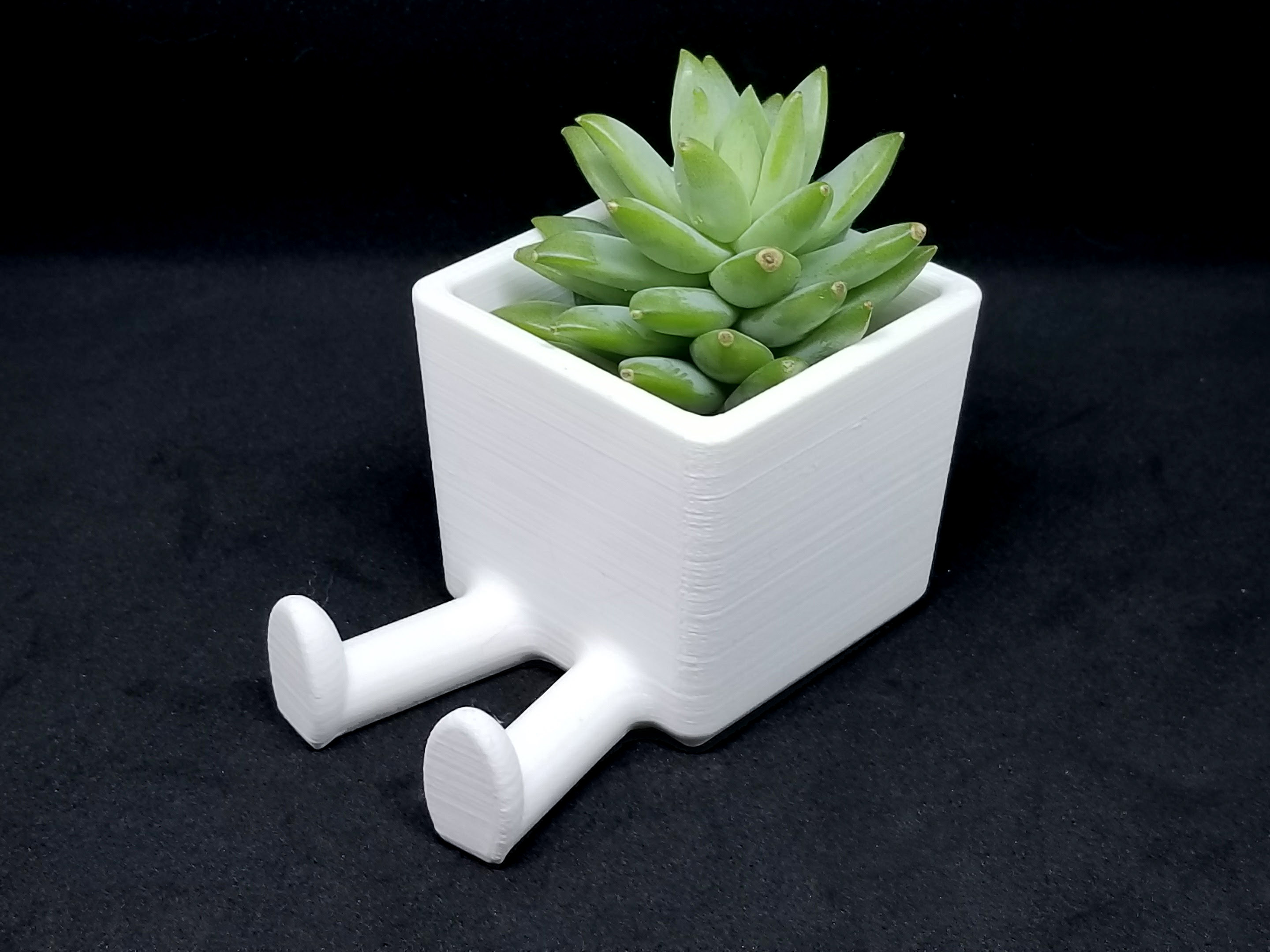 Succulent Planter / 3D printed planter / Legged Planter
