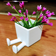 Picture of print of Succulent Planter / 3D printed planter / Legged Planter This print has been uploaded by Saulo Tarso Sales