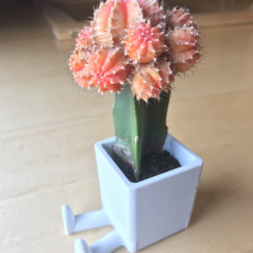 Picture of print of Succulent Planter / 3D printed planter / Legged Planter