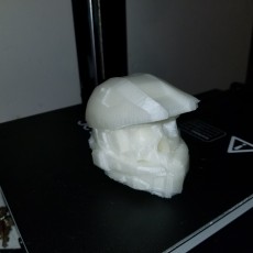 Picture of print of Yolo Halo