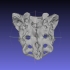 Human Skeleton Sacrum Bone, High Resolution Anatomy Scan image