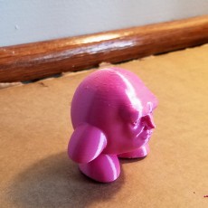 Picture of print of Kirb