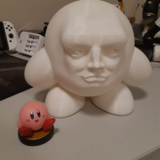 Picture of print of Kirb