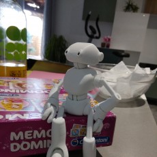 Picture of print of Ankly Robot for FDM 这个打印已上传 Fred