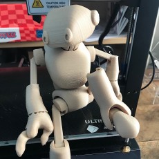 Picture of print of Ankly Robot for FDM 这个打印已上传 eric b