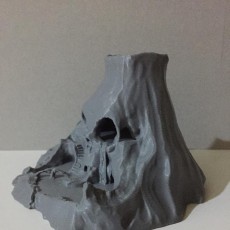 Picture of print of Skull Island This print has been uploaded by Angel Spy