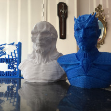 Picture of print of white walker GOT bust