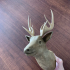Deer print image