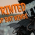 Lace Up Bat Wings image