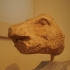 Head of a boar image