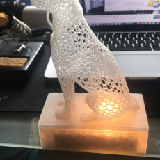Picture of print of Cat design Voronoi This print has been uploaded by Emrah Çapkın